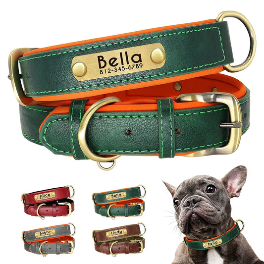 Customized Leather Dog Collar with Free Engraving