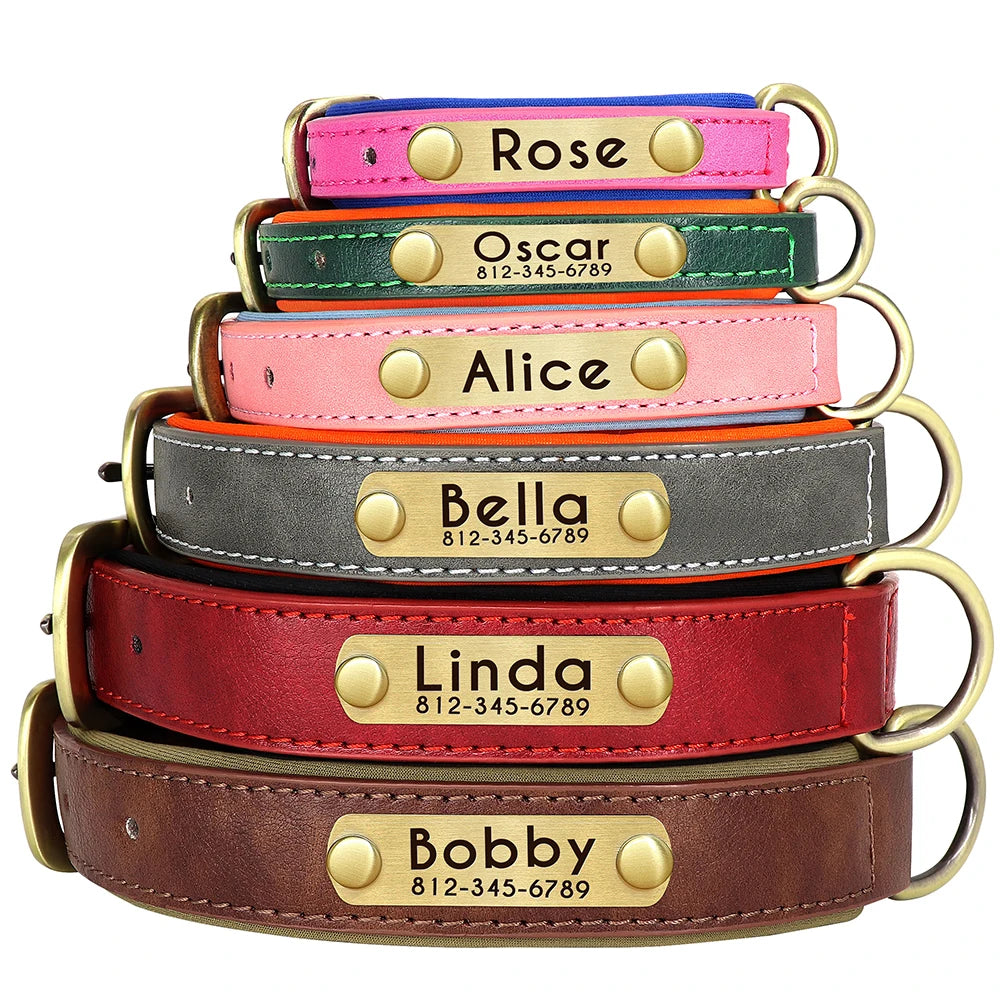 Customized Leather Dog Collar with Free Engraving