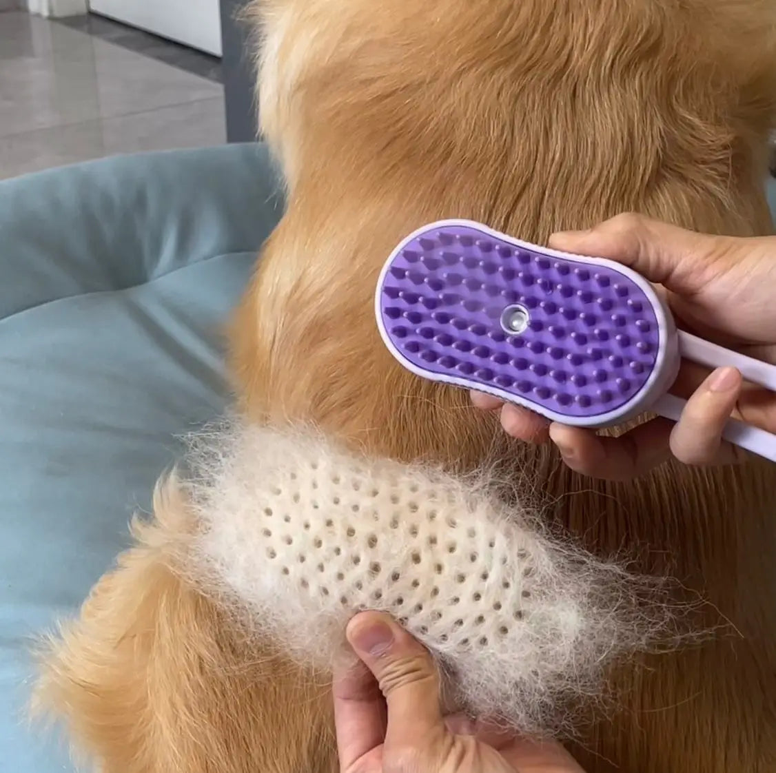 Electric Pet Spray Comb for Cats and Dogs