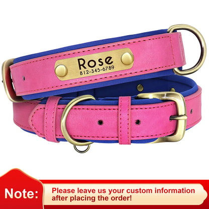 Customized Leather Dog Collar with Free Engraving