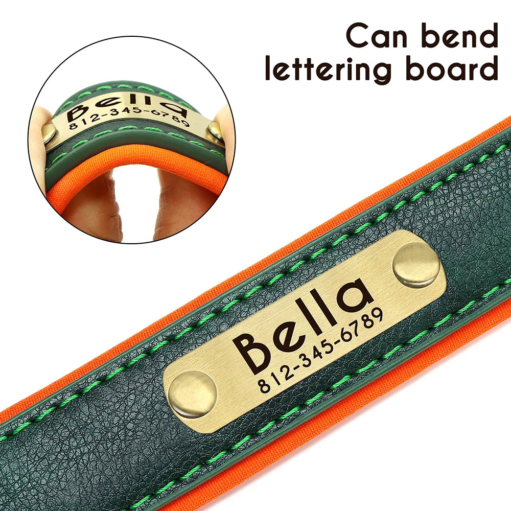 Customized Leather Dog Collar with Free Engraving